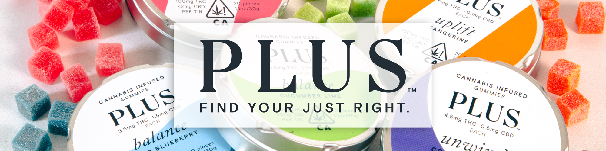 Plus Gummies for sale